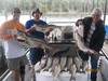 (08/08/2017) - Nice Striped Bass